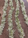 Fresh Babys Breath Garland & Gypsophila Garland
